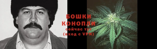 прущая мука Лагань