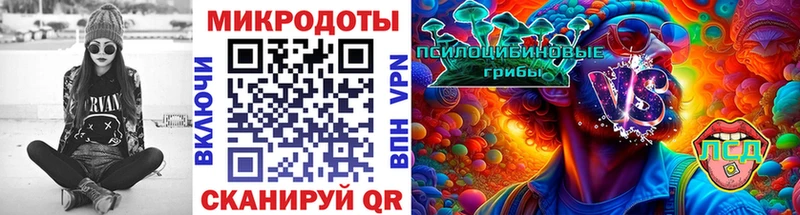 Псилоцибиновые грибы Psilocybe  Сычёвка 